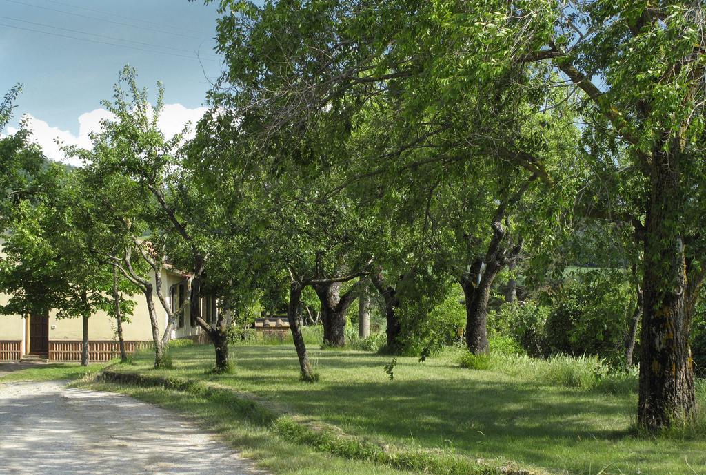 Montepulciano Stazione Agriturismo Il Casalone מראה חיצוני תמונה
